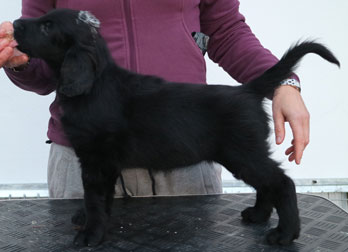 O061216Jhode Nikita 1