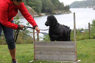 OPPVAKTE7VALPETREFF230JULI1
