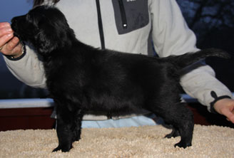 P220117JhodeSiriStående