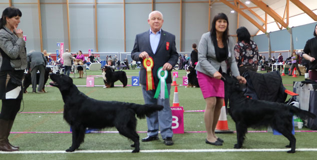 Elegante LokeBIR 19.02