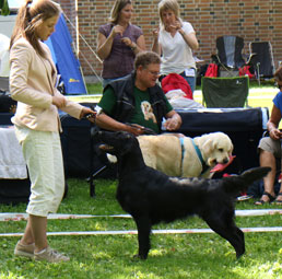 Magiske Zarina 0107117 1